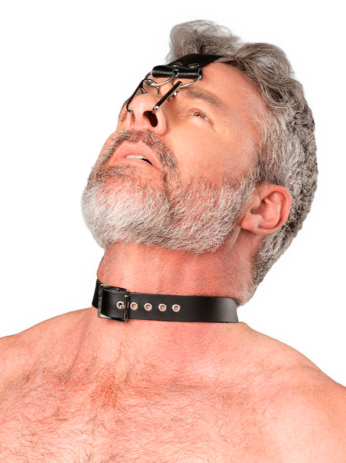 Harness with Nose Hooks
