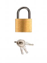 Penis Chastity Cage with Padlock - 11.6cm – image 8