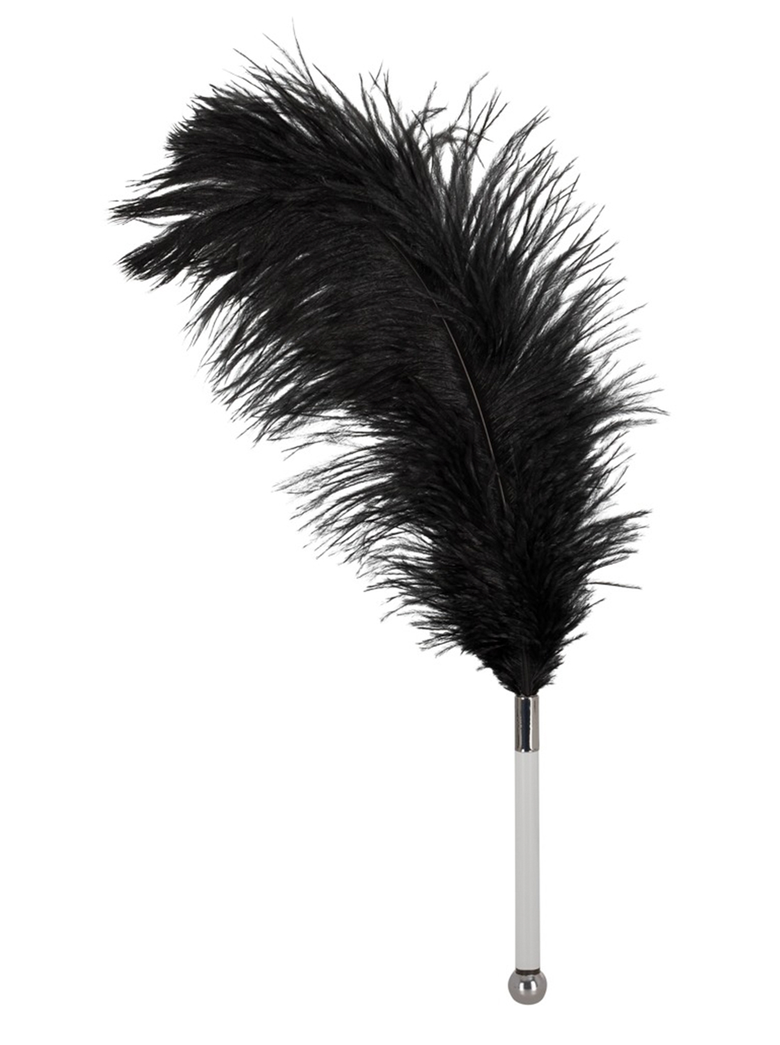 Pluma Erótica con Mango Transparente