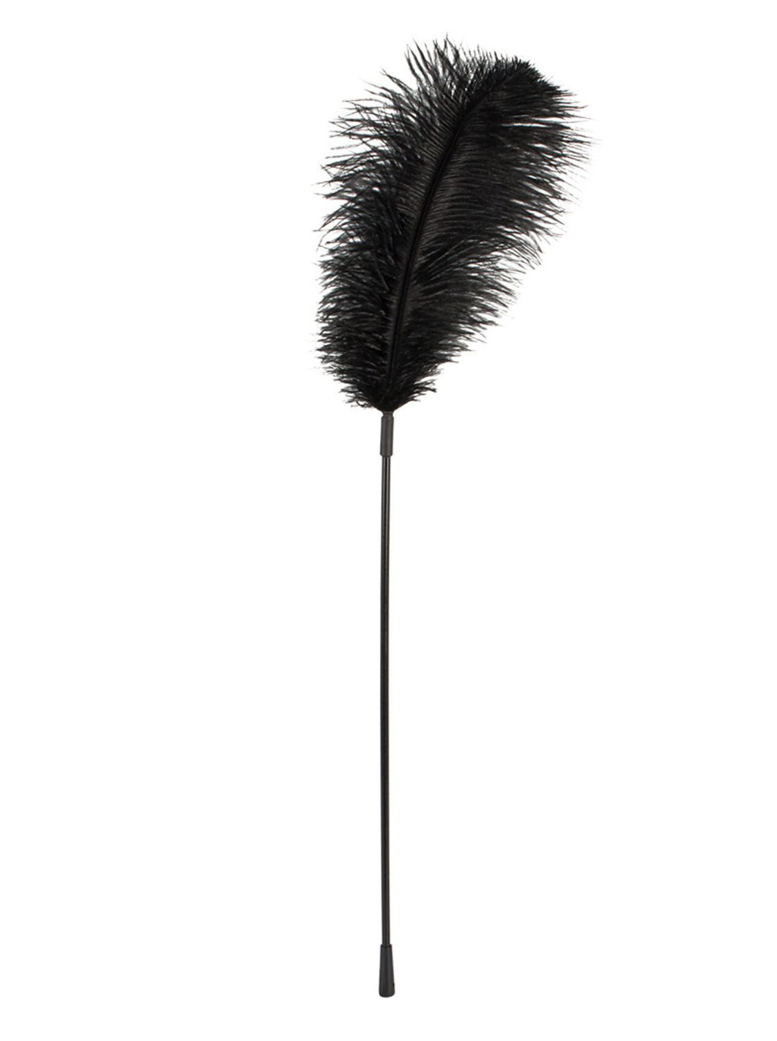 Pluma Erótica - Negro