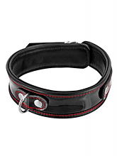 Shiny Leather BDSM Collar