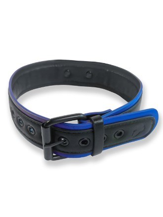 Puppy Collar - Black & Blue