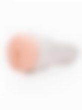 Fleshlight Masturbator - Dillion Harper Vulva Replica – image 2