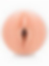 Fleshlight Masturbator - Dillion Harper Vulva Replica – image 3