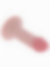 Dildo Anal Realístico com Ventosa - 11cm – imagem 3