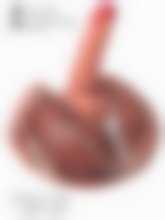 Bangers Torso con Pene Realista de 17 cm - Hardcore Deep Fucker – imagen 4
