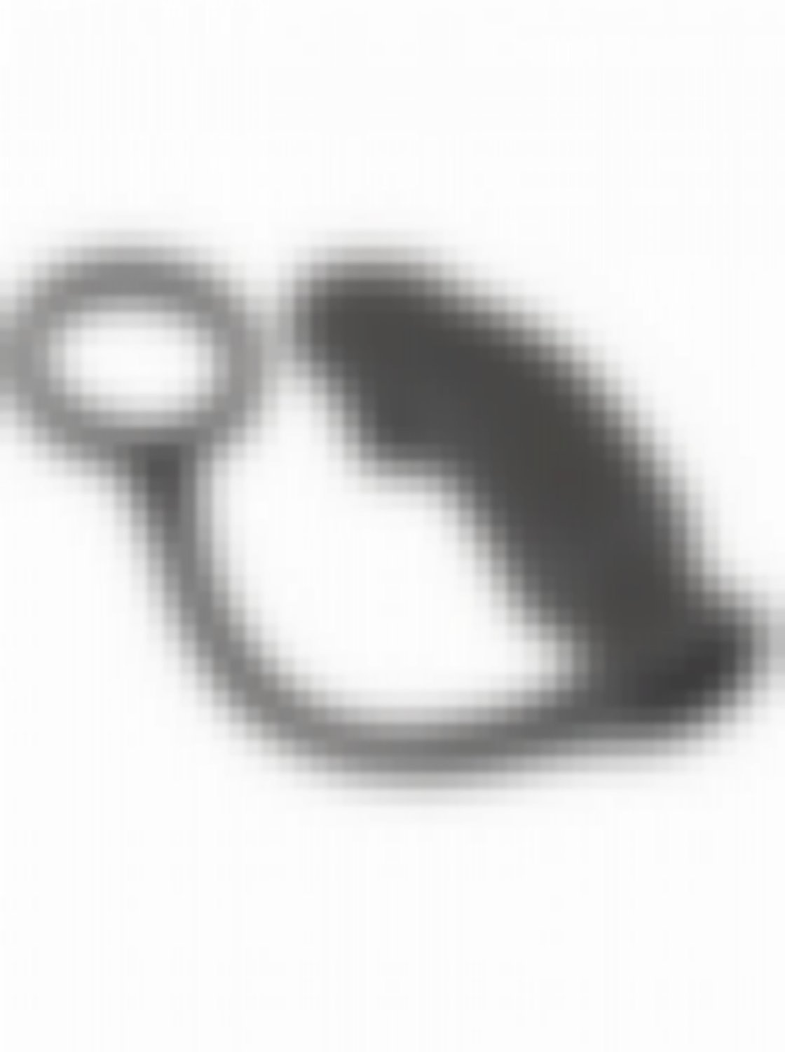 Black Velvets Anal Ring & Plug