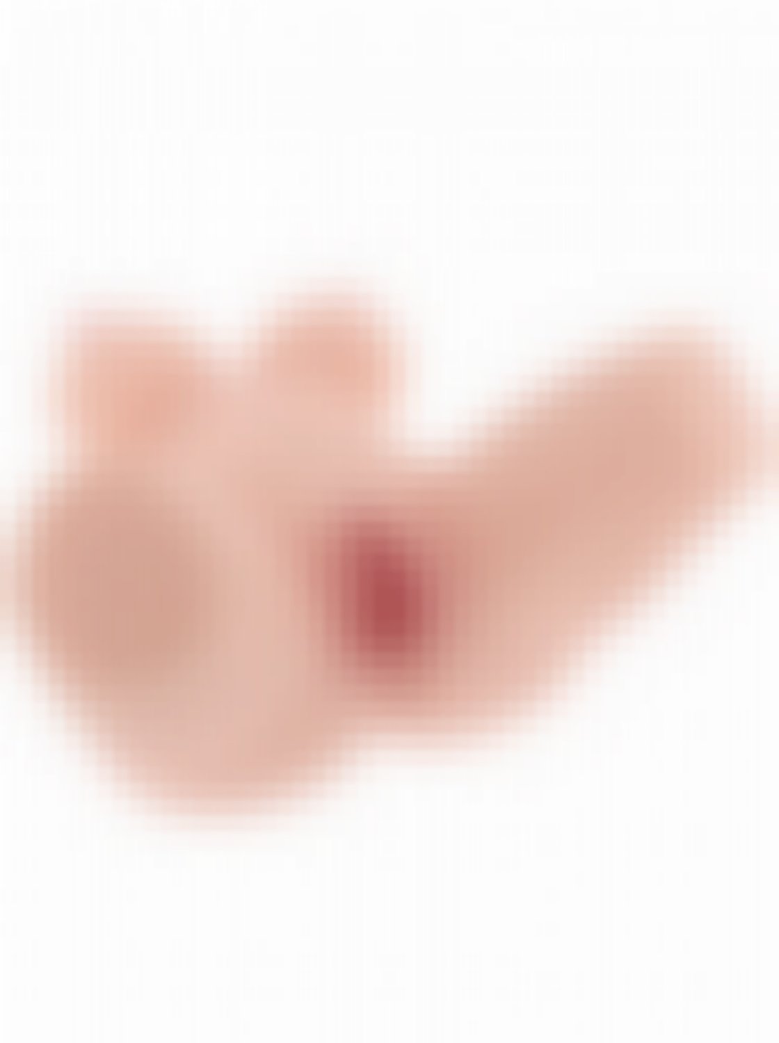 Torso Completo con Vagina, Ano y Senos
