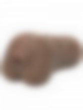 Masturbador Realistico Stroke It - Castanho